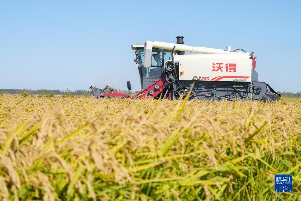 威尼斯公司官网